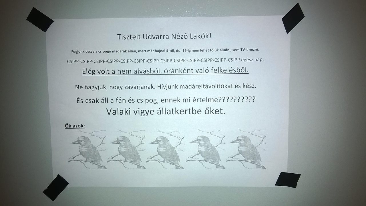 Ne csipogjanak a madarak többet, meg a gyerekek se zsibongjanak!