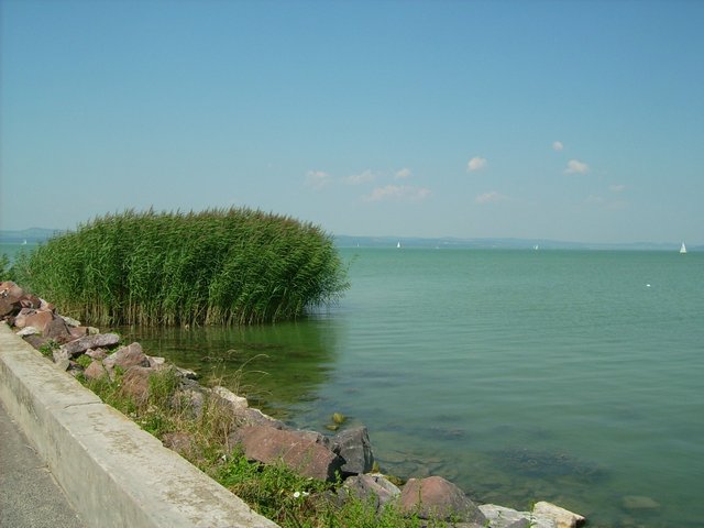 10 érdekesség a Balatonról