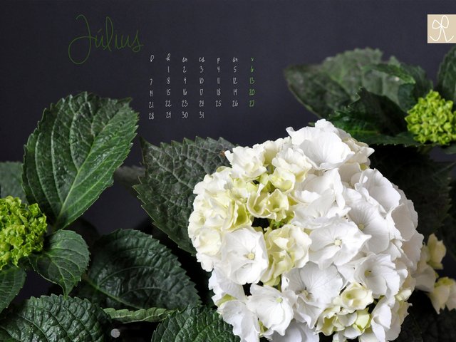 Töltsd le! - hangulatos háttérképek júliusra