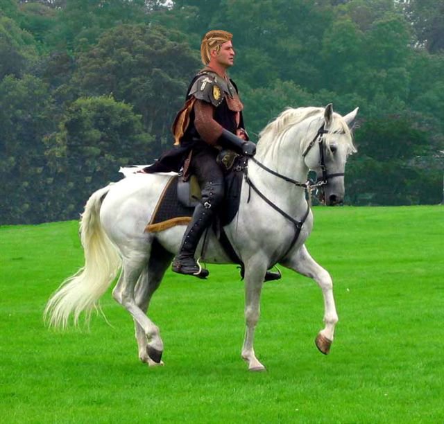 Párkeresésnél egy fotó is elég az elutasításhoz