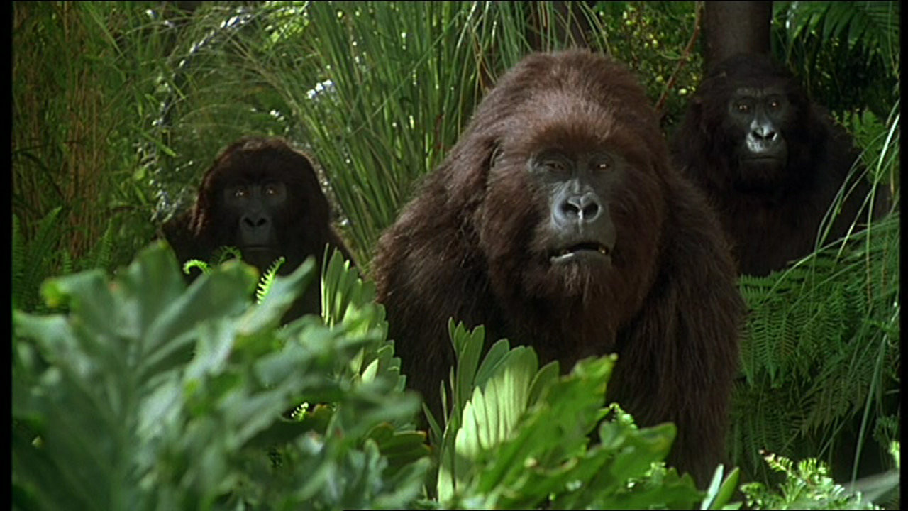 Hollywood tíz legnagyobb majma