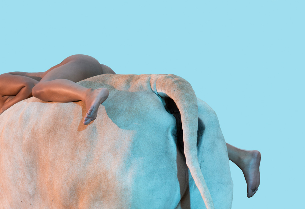 Provokatív: összehasonlította egy tehén és egy nő testét