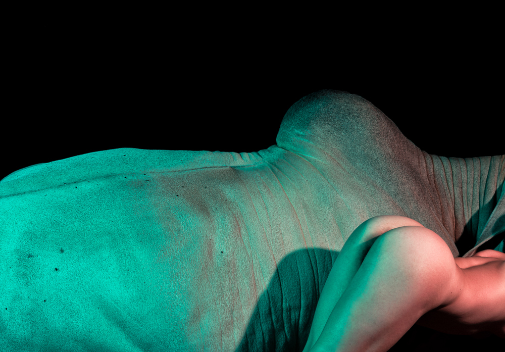 Provokatív: összehasonlította egy tehén és egy nő testét