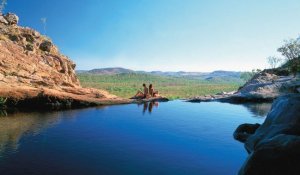 10+1 természetes úszómedence