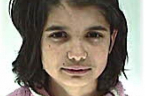 Forrás: police.hu Forrás: police.hu