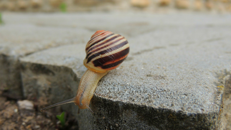 Esik, ma is, holnap is fog - játéktippek kintre