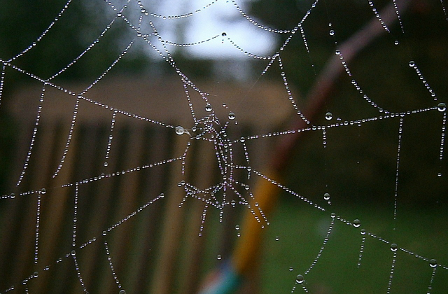 Esik, ma is, holnap is fog - játéktippek kintre