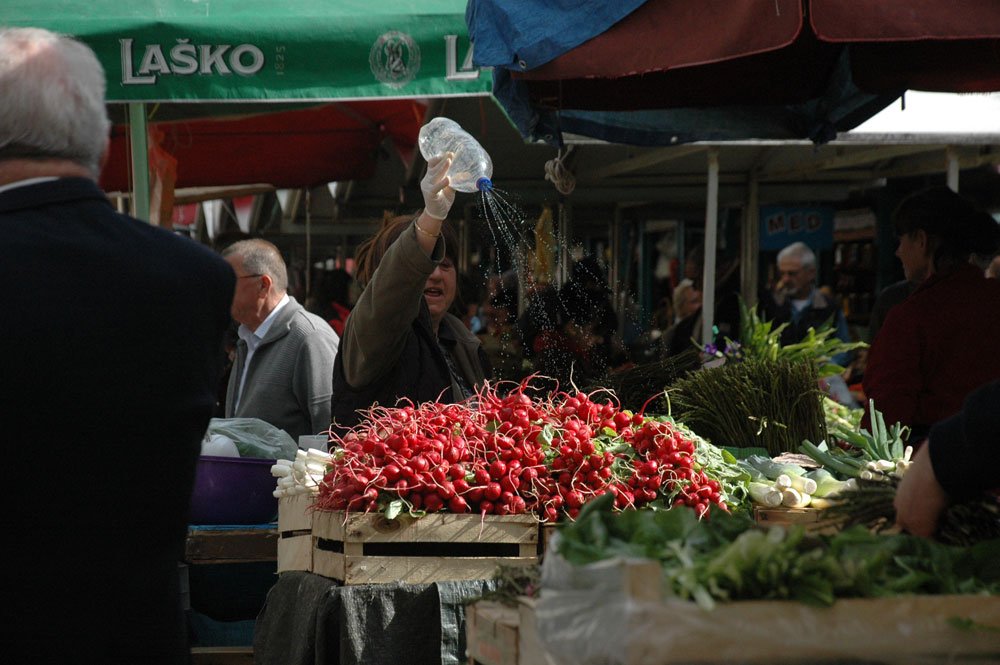 Élmények Rijekából