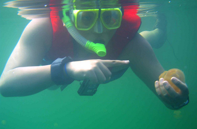 Létezik egy tó, ahol nem csípnek a medúzák - képek