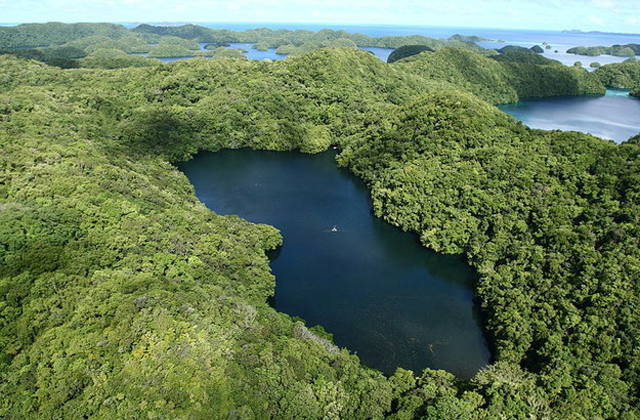Létezik egy tó, ahol nem csípnek a medúzák - képek