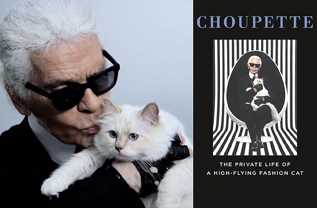 Könyvet írt a macskájáról a hóbortos divatguru