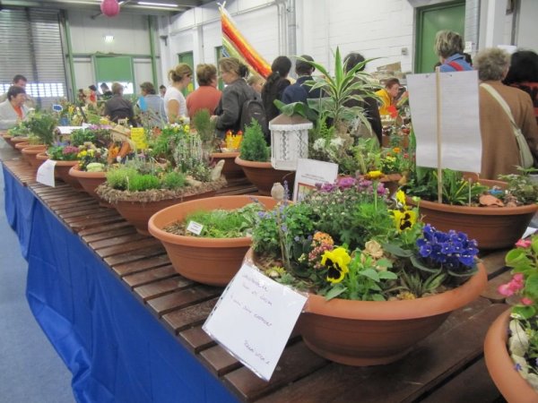 Madárbarát kert – óvodai pályázat Madárbarát kert – óvodai pályázat