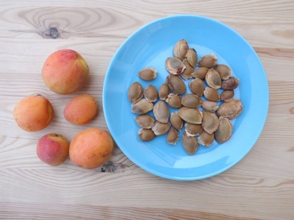 Mit csinálj a sárgabarackmaggal?
