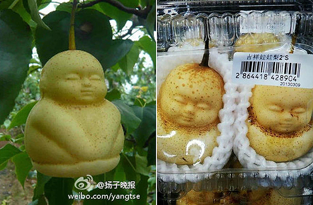 Nézd meg a világ legbizarrabb gyümölcsét - fotók Nézd meg a világ legbizarrabb gyümölcsét - fotók