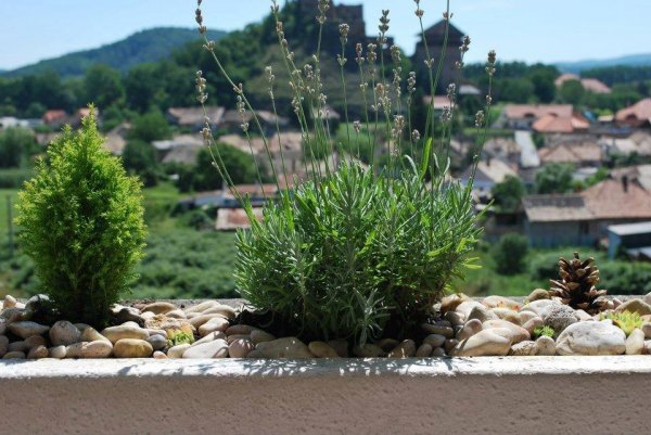 Fotók: a mediterrán balkon, ami a füleki várra néz