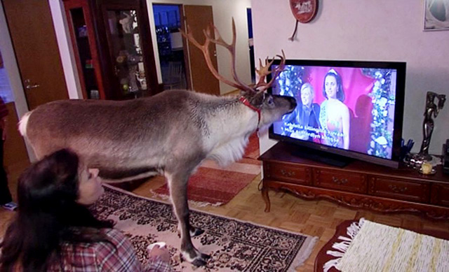 A világ 10 legbékésebb helye, ahol most lennénk