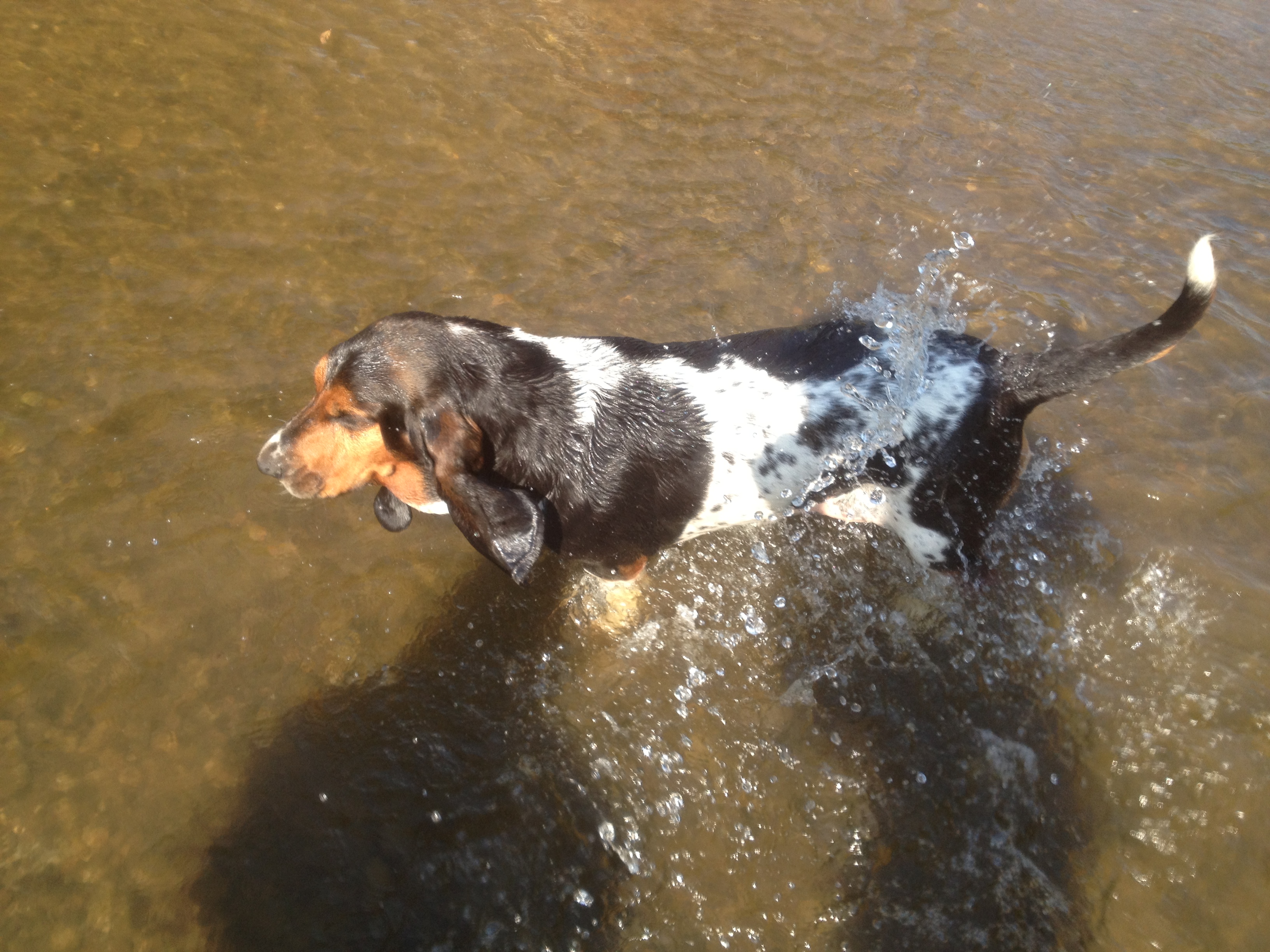 Hogyan fotózzunk a vízben a mobillal?