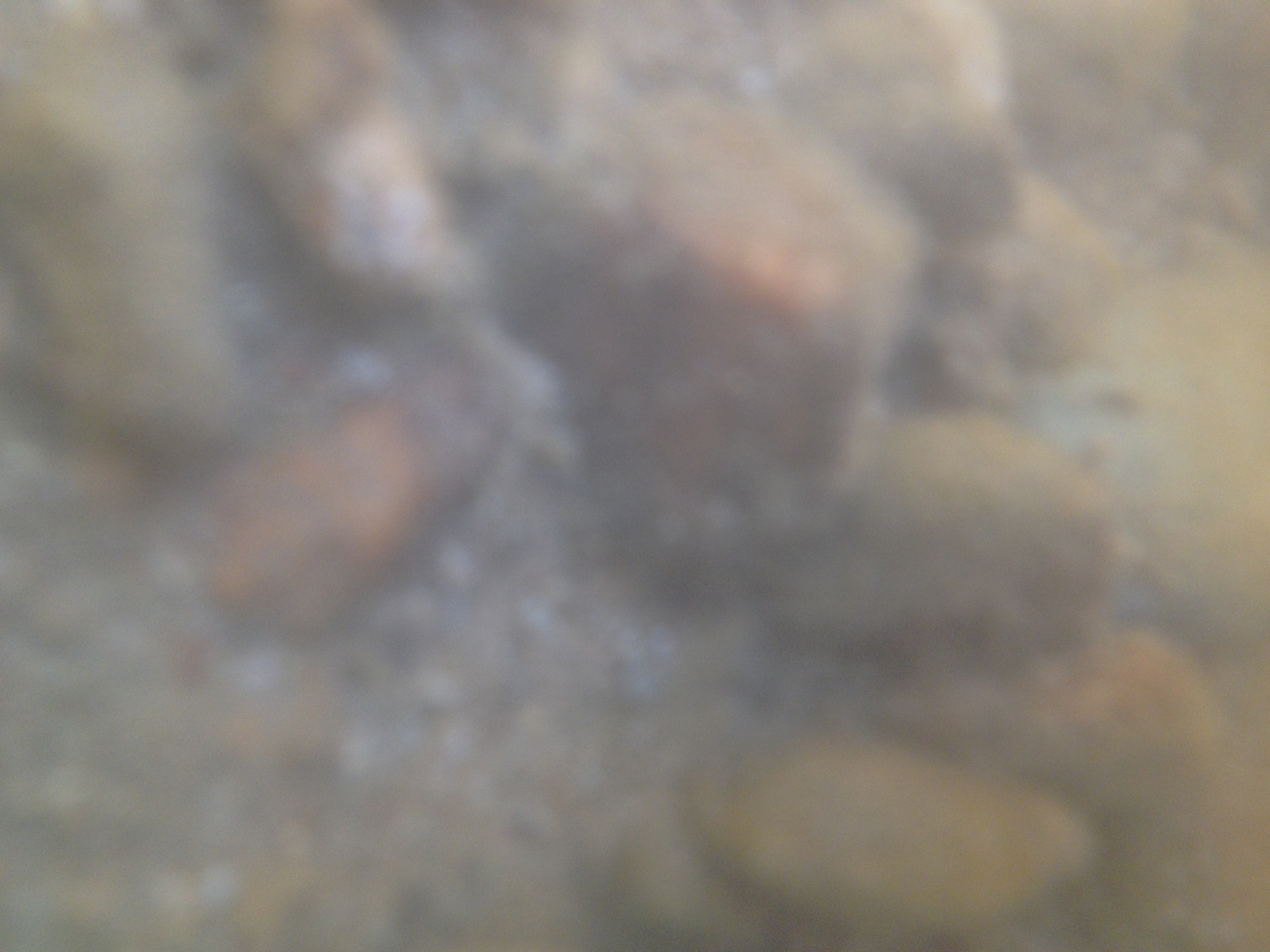 Hogyan fotózzunk a vízben a mobillal?