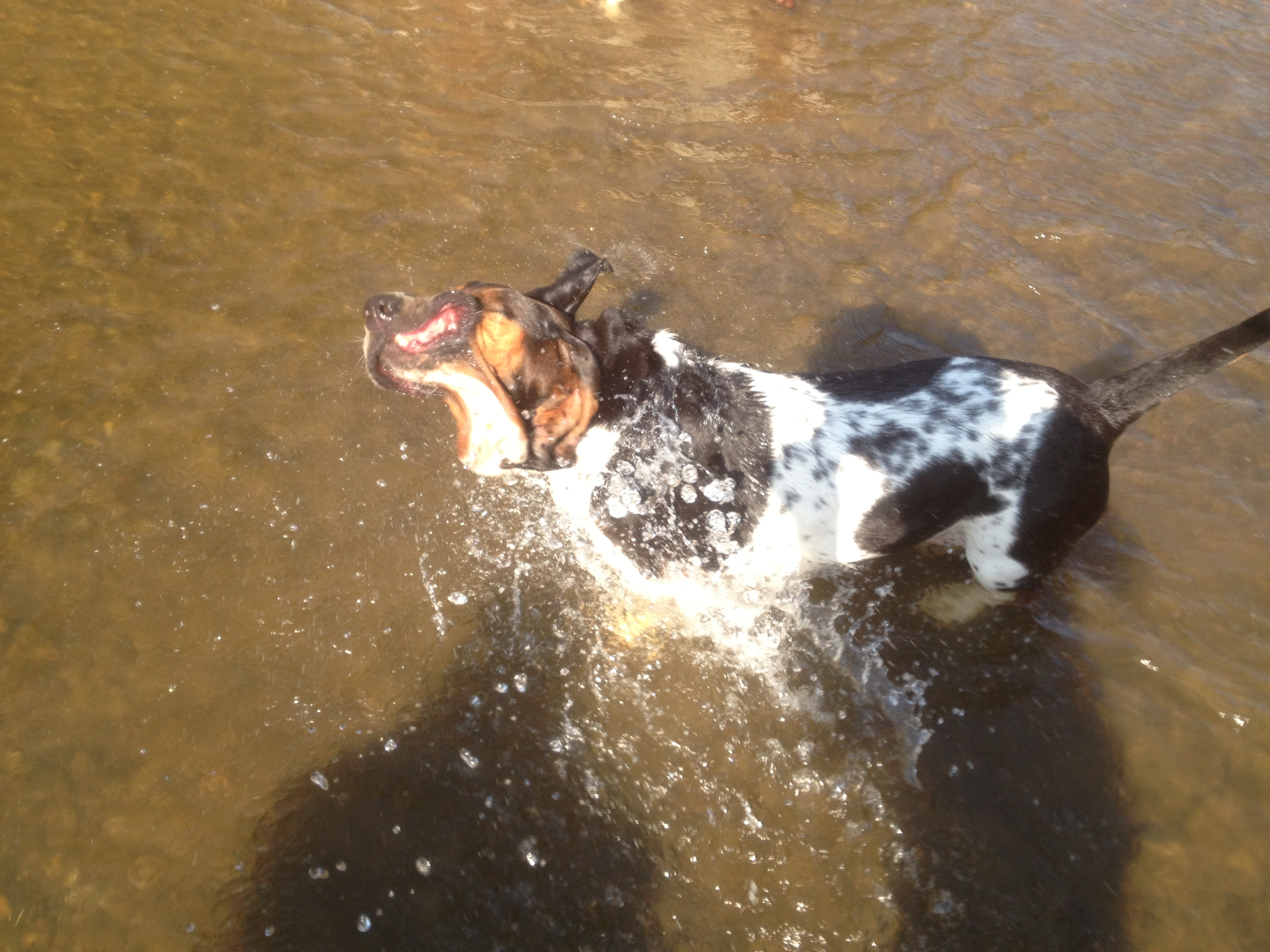 Hogyan fotózzunk a vízben a mobillal?