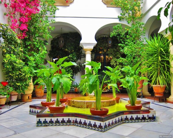 Cordoba, a virágos kisudvarok városa