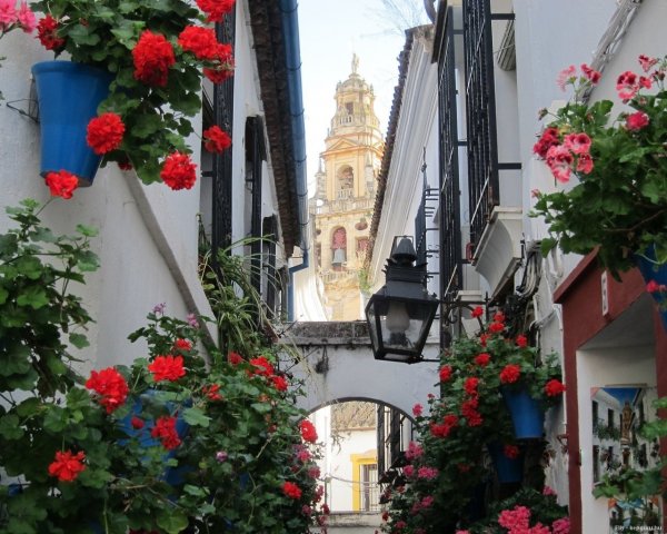 Cordoba, a virágos kisudvarok városa