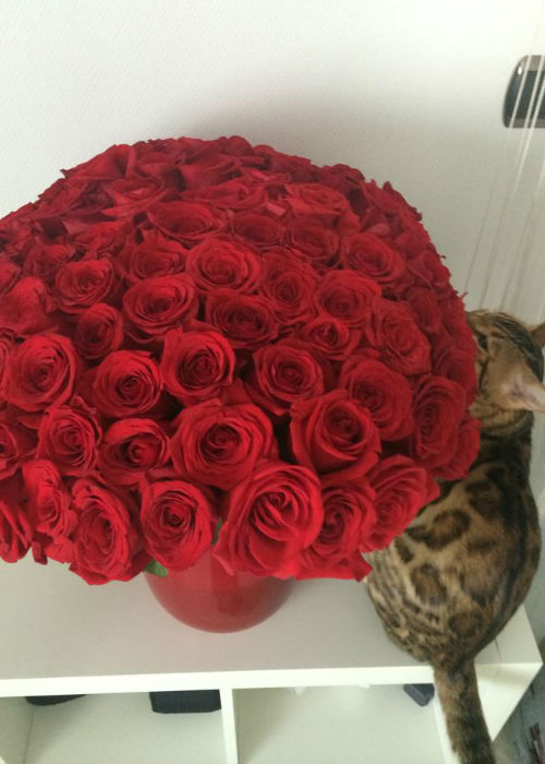 facebook.com/vajnatimea