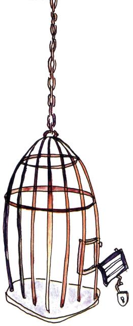 Napi mese: Shelby bácsi állatkertje