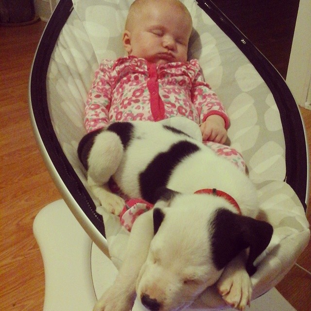 A nap videója: elválaszthatatlan a baba és a kiskutya