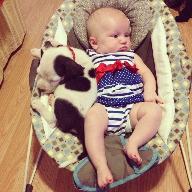 A nap videója: elválaszthatatlan a baba és a kiskutya