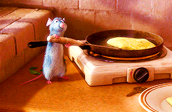 Óriáspatkányok lepték el a Tuileriák kertjét Párizsban Óriáspatkányok lepték el a Tuileriák kertjét Párizsban