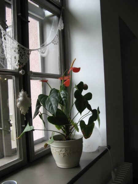 Egy hely, amiből minden településre kellene