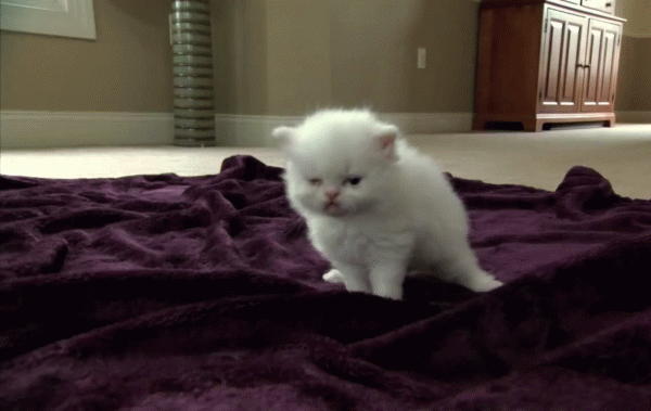 15 ember, aki tuti nehezebben ébredt fel, mint te