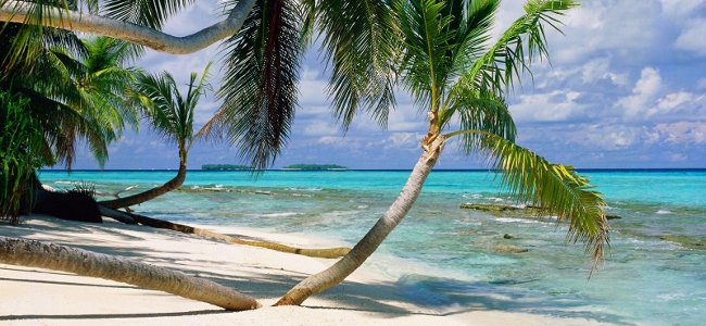 Miért akar innen egy család elmenekülni?