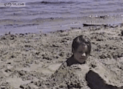 Így élvezik a kutyák a nyarat!