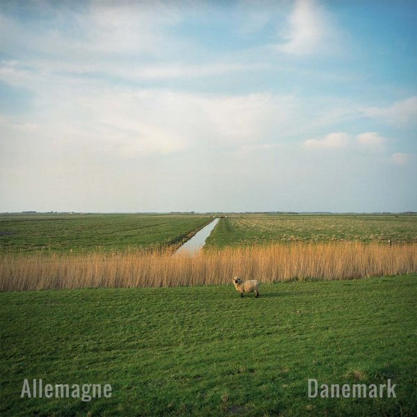 Németország-Dánia: