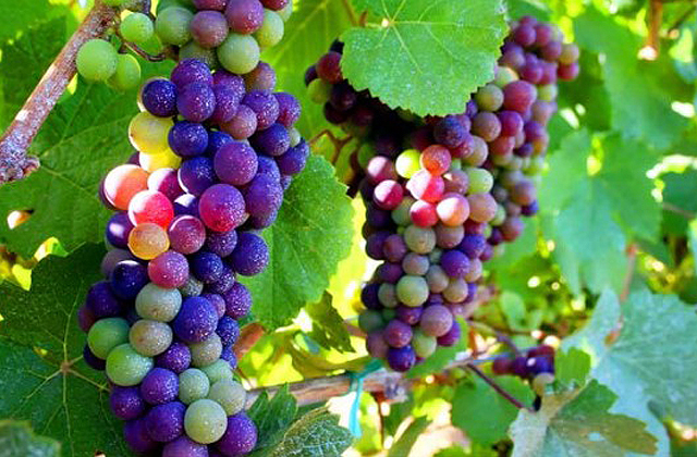 Ez a valóságban is előfordul