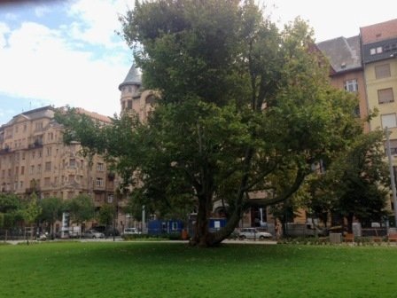  A legmenőbb titkos játszótér Budapesten