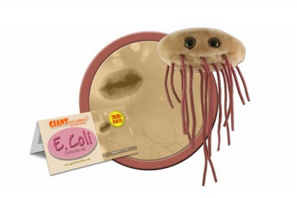 Óriásbaktériumok plüssből Óriásbaktériumok plüssből