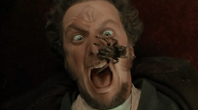 3 elfeledett sztár, aki sokra vihette volna, de mégsem jött be nekik