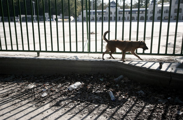 10+1 pont: mit kérnénk a főváros új polgármesterétől?