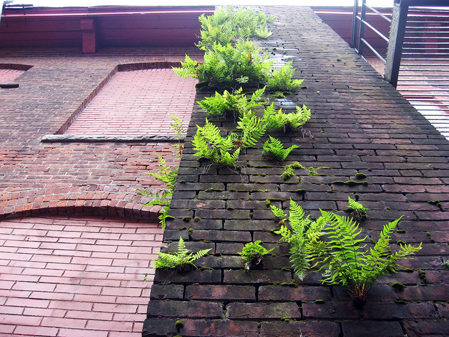 Amikor az élet utat tör magának