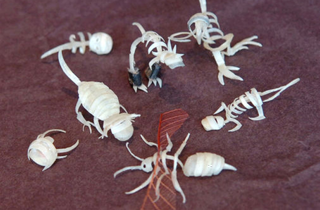 Ennyire bizarr ékszereket még nem láttál - fotók