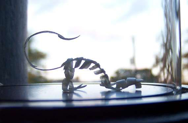 Ennyire bizarr ékszereket még nem láttál - fotók