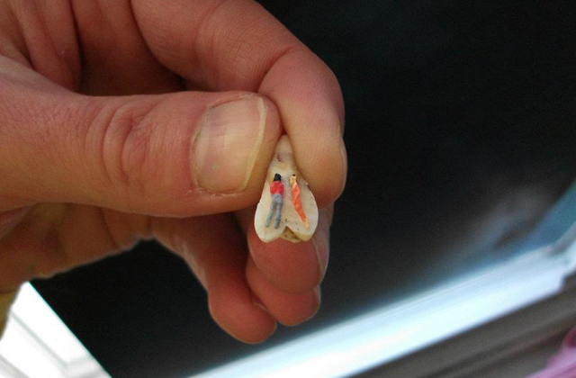 Ennyire bizarr ékszereket még nem láttál - fotók