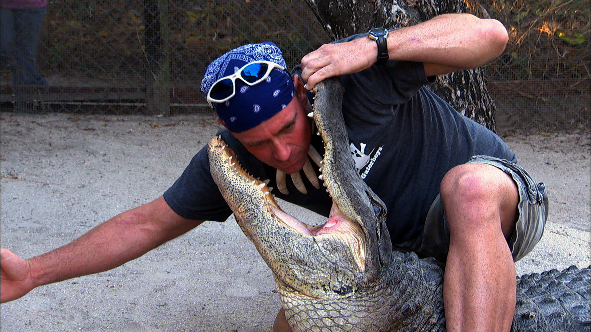  A világ 10 legkülönlegesebb foglalkozása