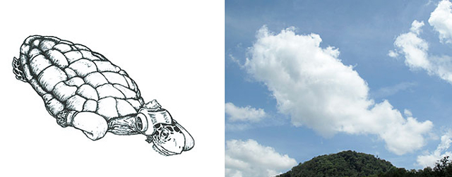 Felhőkre rajzol egy művész - galéria