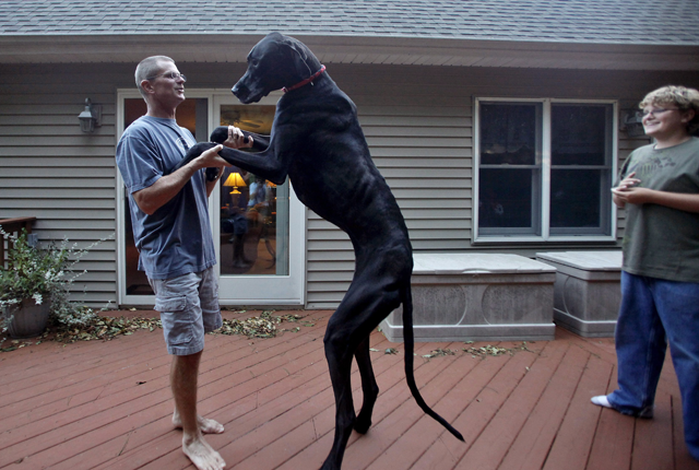 Fotó: MTI/AP/Kalamazoo Gazette-MLive Media Group/Jonathon Gruenke