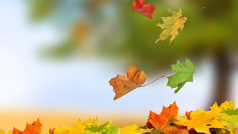 A C-vitamin jótékony hatásai 