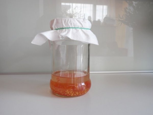 Hogyan gyűjtsünk paradicsommagot?