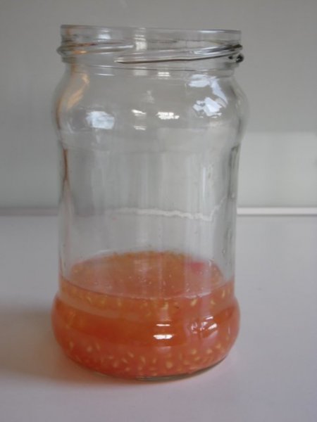 Hogyan gyűjtsünk paradicsommagot?